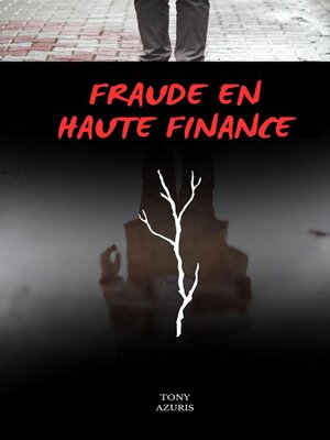 cover image of FRAUDE EN HAUTE FINANCE